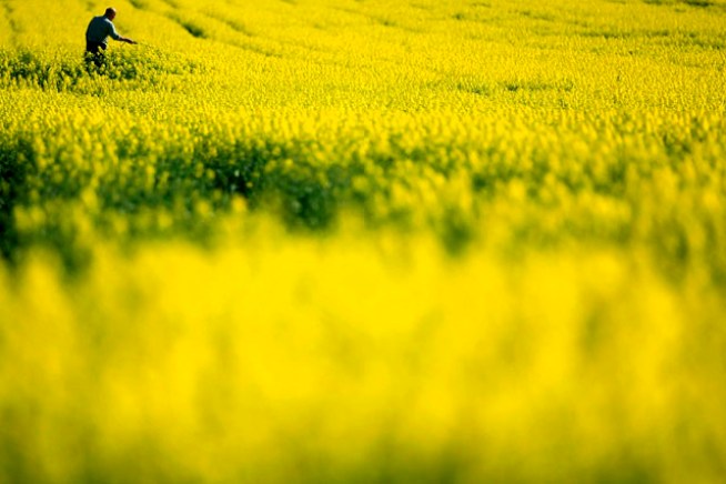 Celebrate Earth Day With Earthy Events