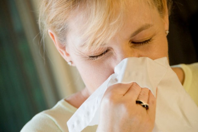 Blame Global Warming For Worsening Allergies