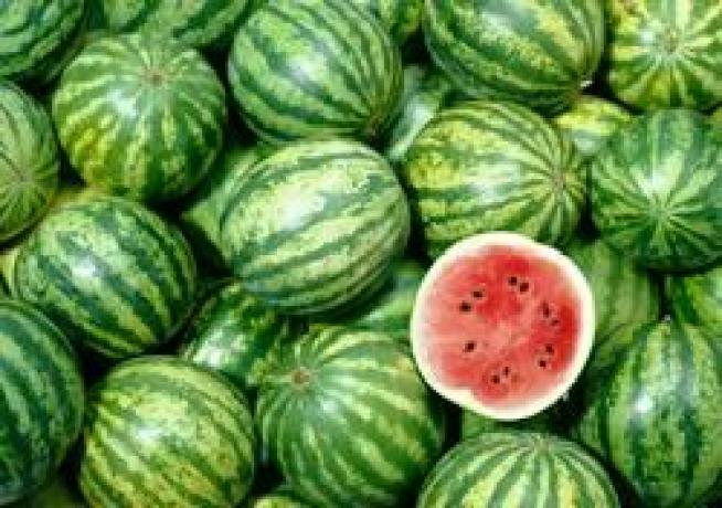 Making Biofuel Out of Watermelon Rejects