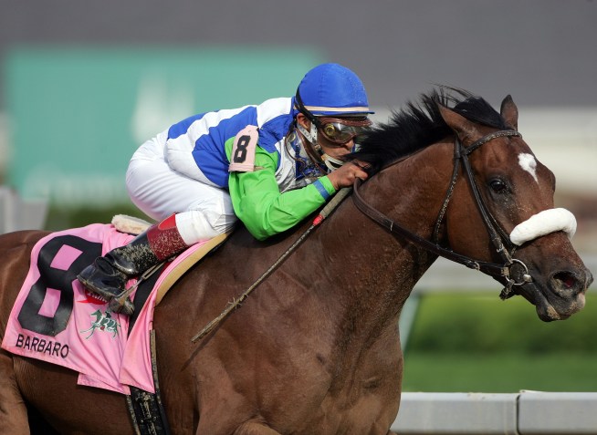 Celebrating Barbaro 2 Years Later