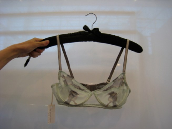 School Official "Steals" Colleague's Bra at Board Meeting