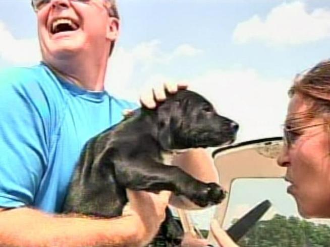Two rescue organizations work together to save 10 puppies from certain death by giving them a new home and future.