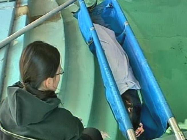 This whale was rescued after washing up on an Atlantic City beach.