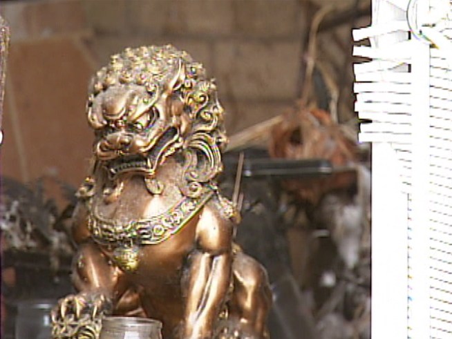 Animals Used in Ritual Killings: Officials 