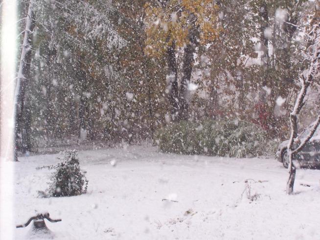 "Hurricane" Previews Winter Forecast -- Cold Or Warm?