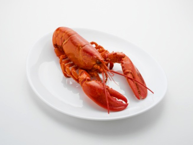 Lobster Mania at Bridget Foy's