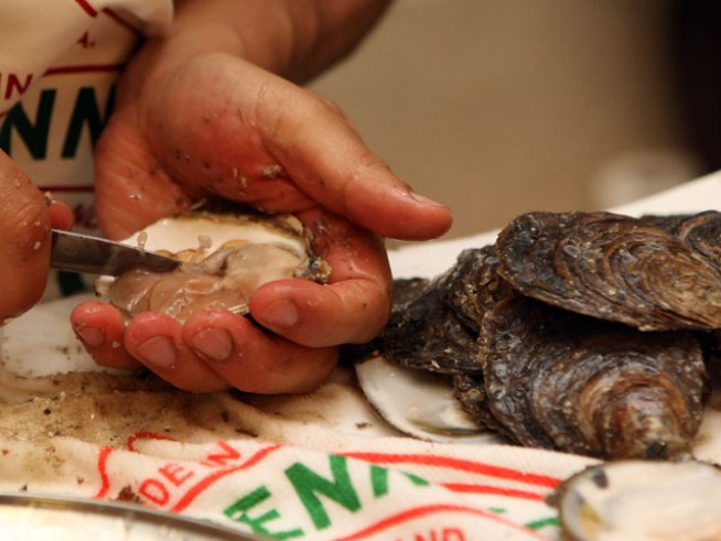 Let's Get to Shucking