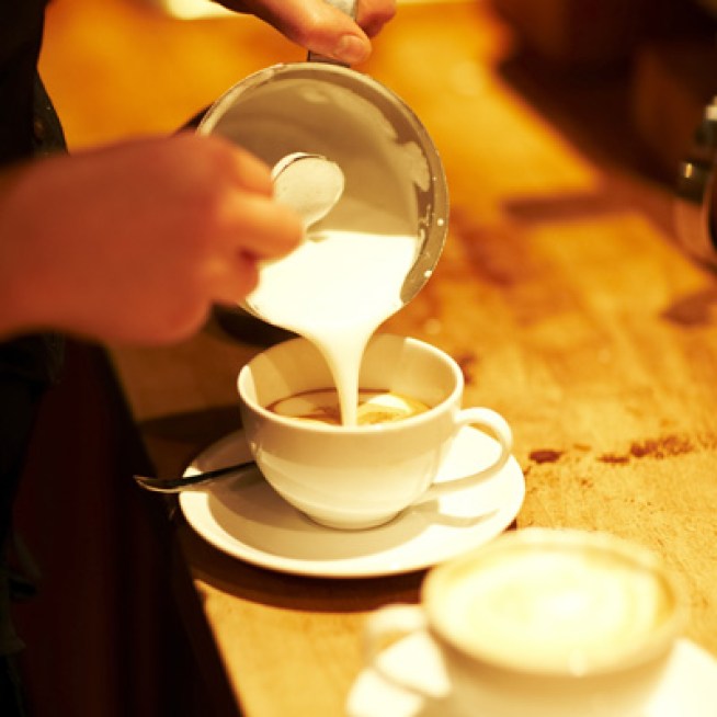Philly's Best Coffee Shop
