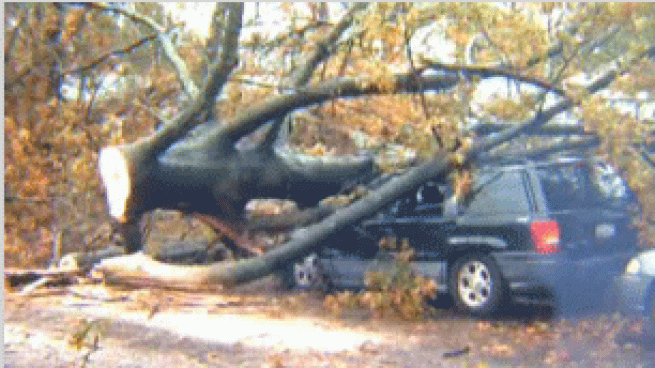 Two Bucks County brothers were hurt when a massive tree came crashing down Monday night at the height of Sandy. And their father spoke only to NBC10 about the moments that followed. Matt Dietrich says his sons Kyle and Ryan were in the front yard of their Levittown home when the tree fell. Kyle escaped with minor injuries, but 19-year-old Ryan was pinned under the tree with a severe head injury. While they were trying to save him, several other trees came down right next to them. The SUV parked in front of the house took the brunt of the impact. Kyle was released from the hospital Wednesday, and Ryan should be released Monday. Their father says he's happy the boys are alive.