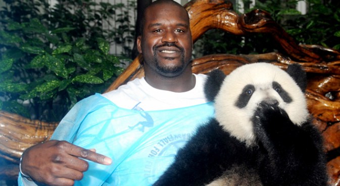 Shaq Panda "Wrestles" at Verizon Center