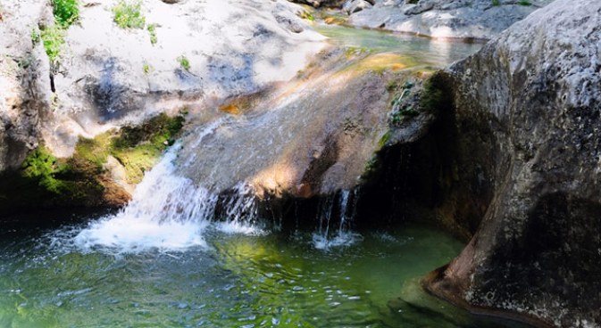 Swimmer Drowns in the Poconos
