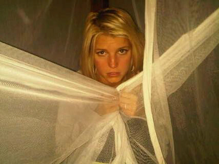 092809 jessica simpson twitter p1