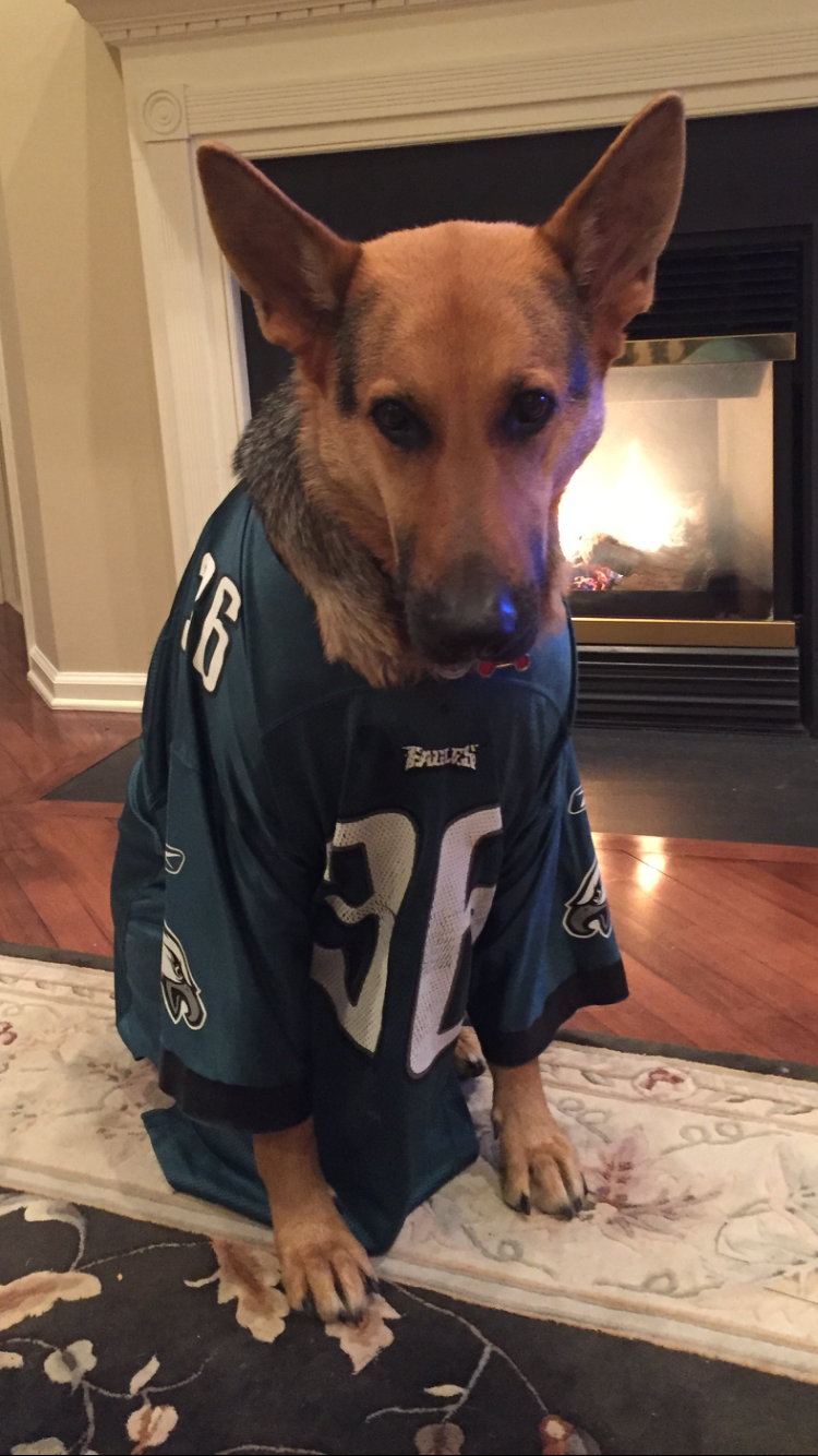 Where Did Eagles Get Those (Under)Dog Masks From? Here's Where You