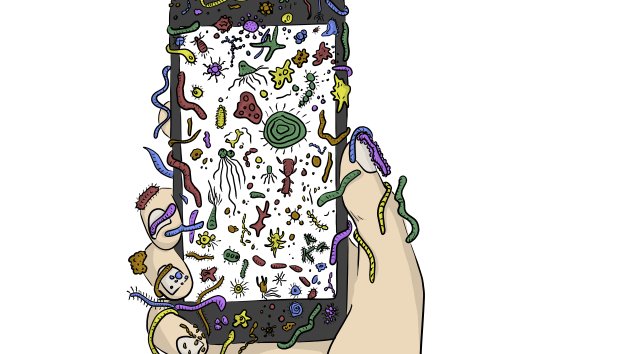 Cell Stinky How to Clean Your Phone to Help Stop the Spread of Germs – NBC10 ...