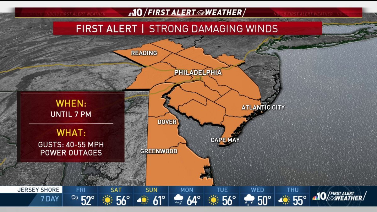 First Alert: Strong Gusty Winds Could Bring Down Limbs, Knock Out Power ...