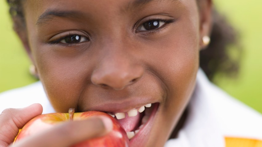 PHI Proper Nutrition PCA