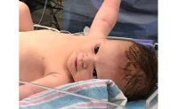 2018 Baby Virtua