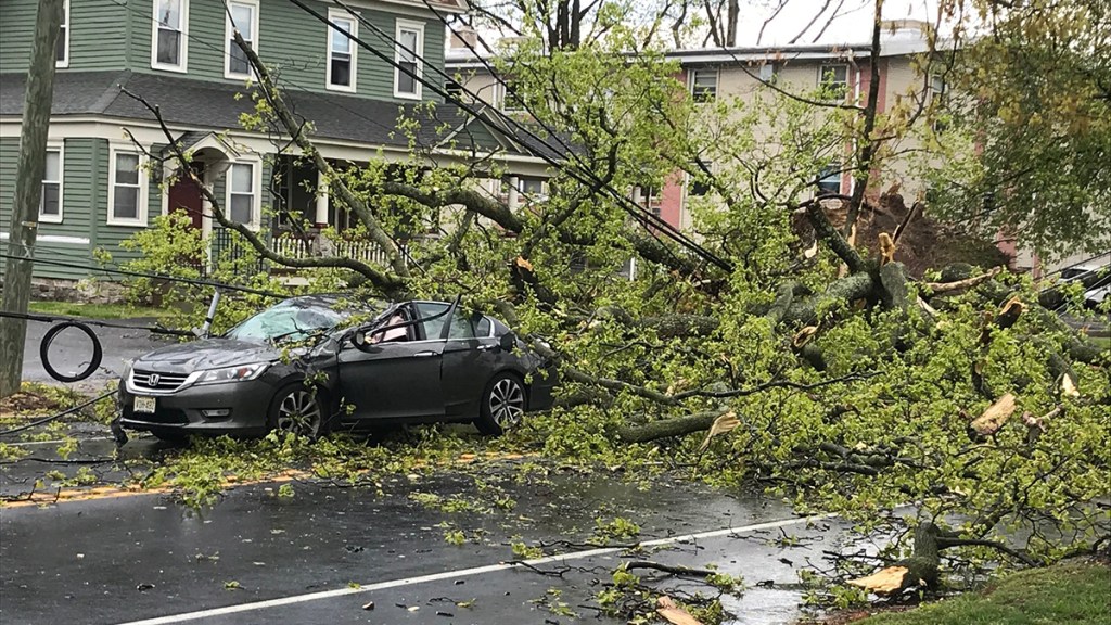 Severe Storms Topple Trees and Cause Damage Throughout Region – NBC10 ...