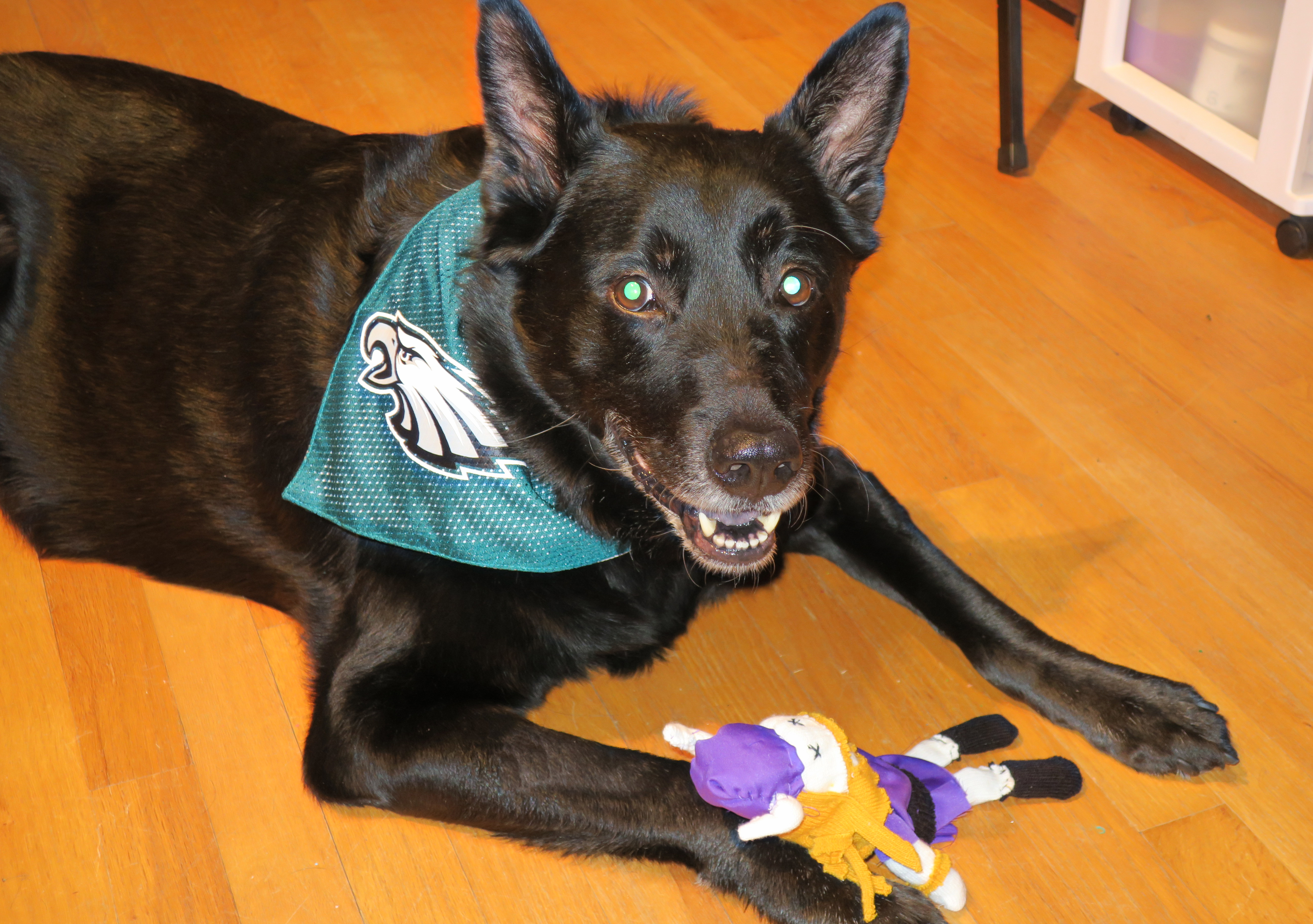 Where Did Eagles Get Those (Under)Dog Masks From? Here's Where You