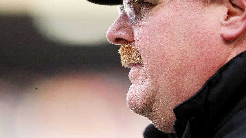 Andy Reid profile
