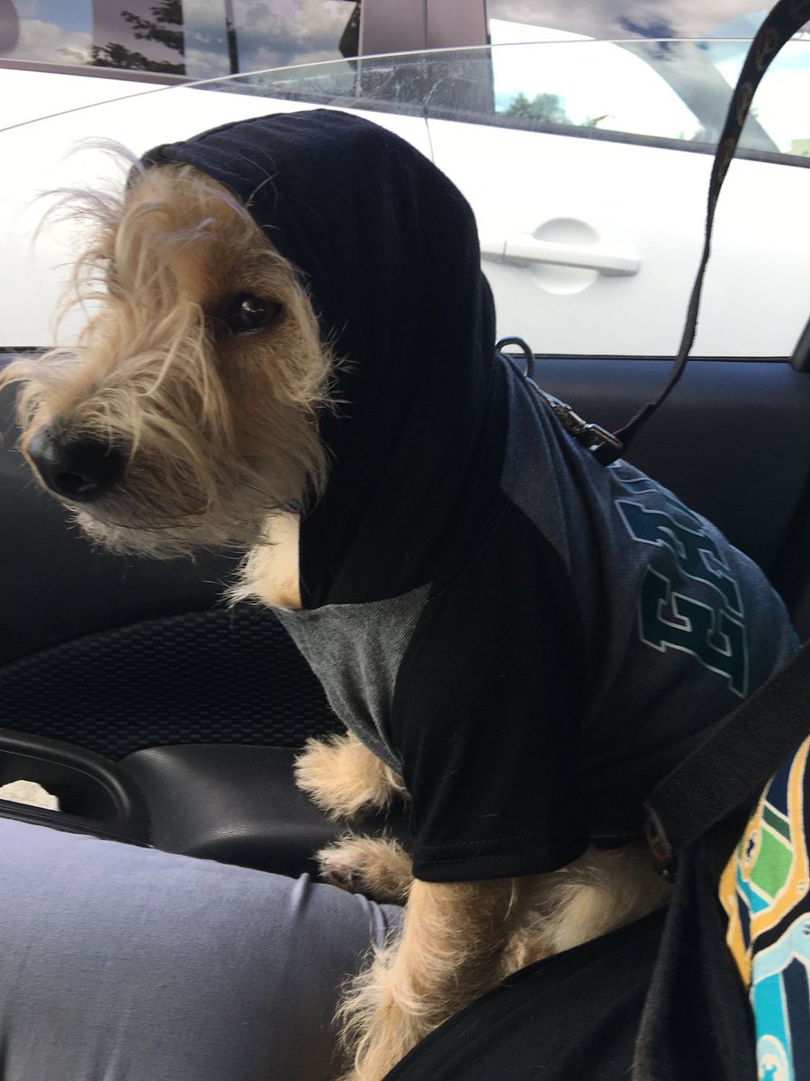 Lane Johnson, Chris Long shame NFL into donating dog shirt