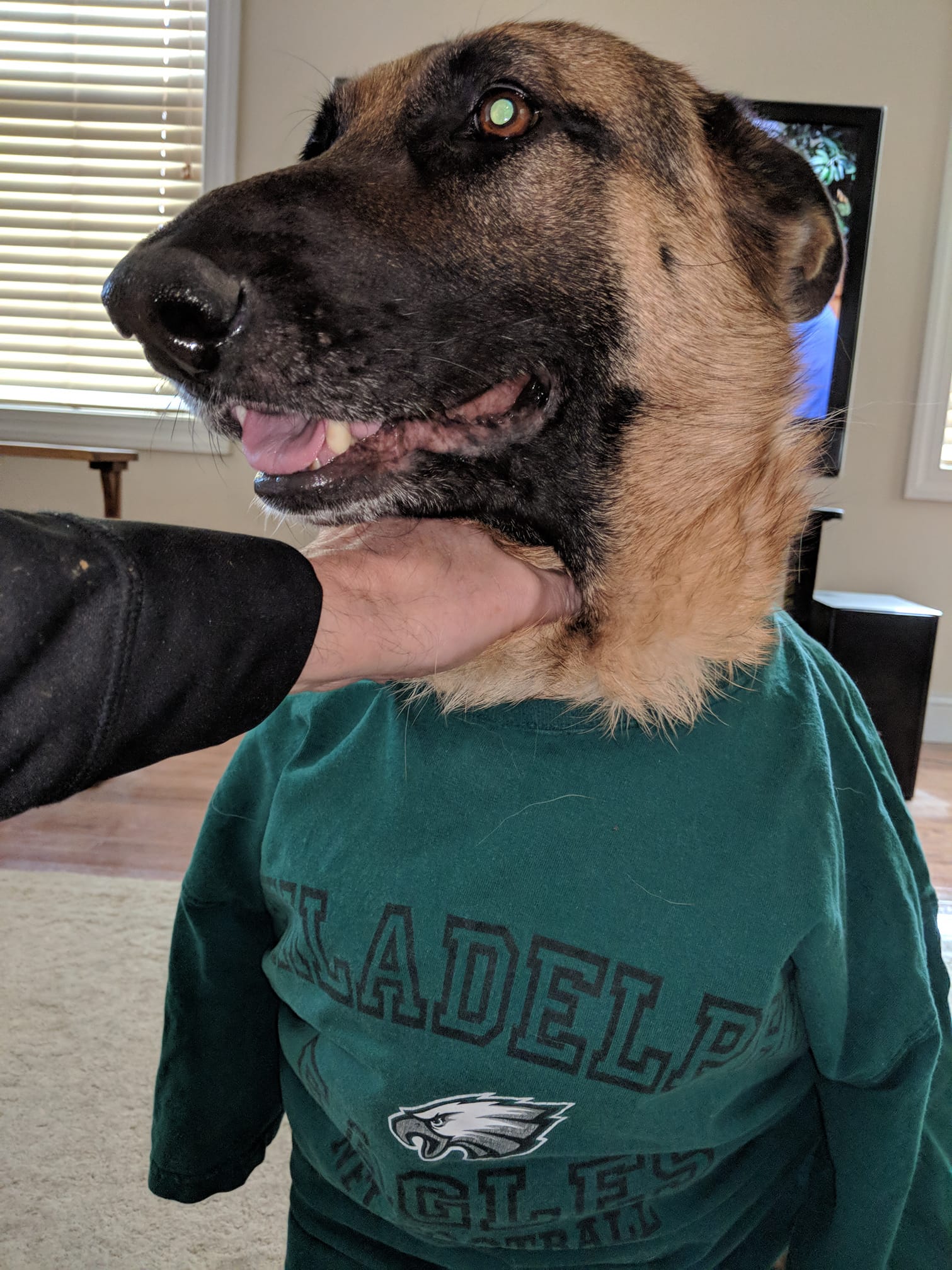 Where Did Eagles Get Those (Under)Dog Masks From? Here's Where You Can Get  Yours – NBC10 Philadelphia