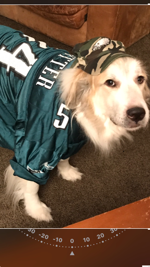 Philadelphia Eagles to Fans: Bring Your Dog Masks!!!