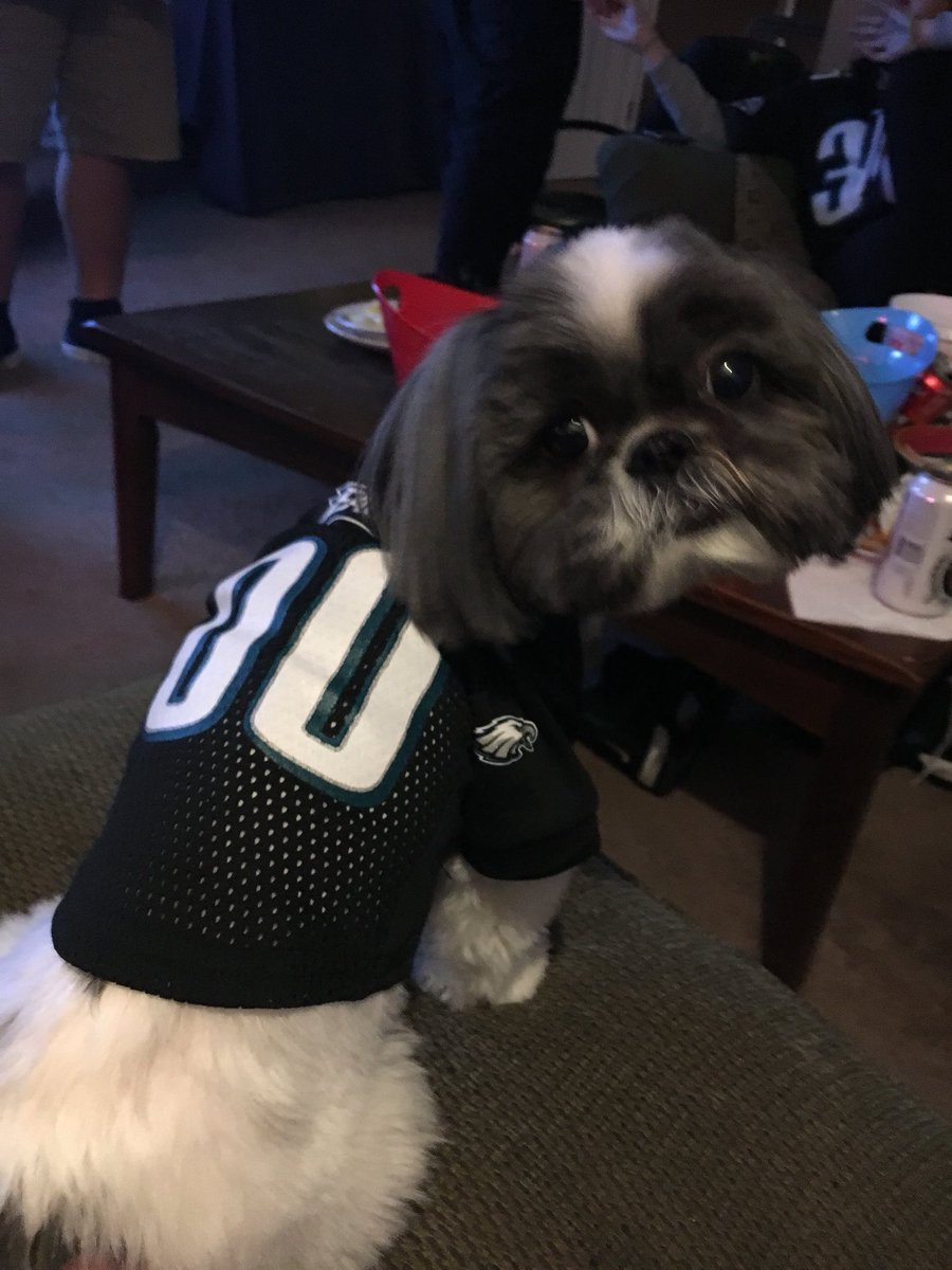 Eagles fans swarm Lincoln Financial Field in dog masks for NFC