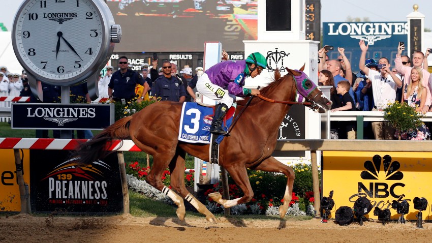 Preakness Horse Racing