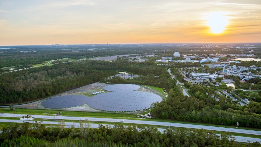 Mickey Mouse Solar Panels