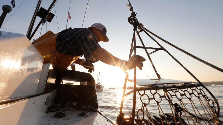 Chesapeake Bay Report