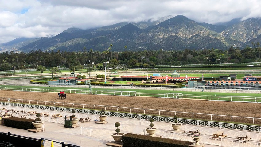 Santa Anita Fatalities Horse racing