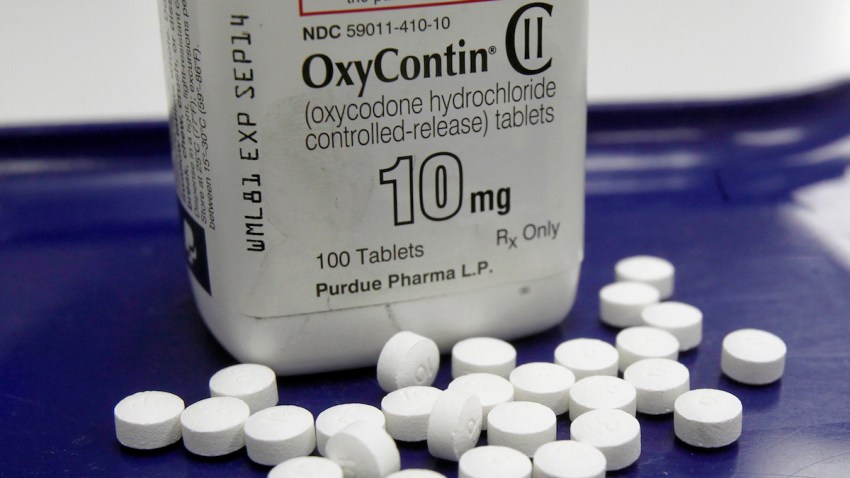 Painkiller Panel-Drugmaker Ties
