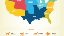 America's Favorite Pet Names