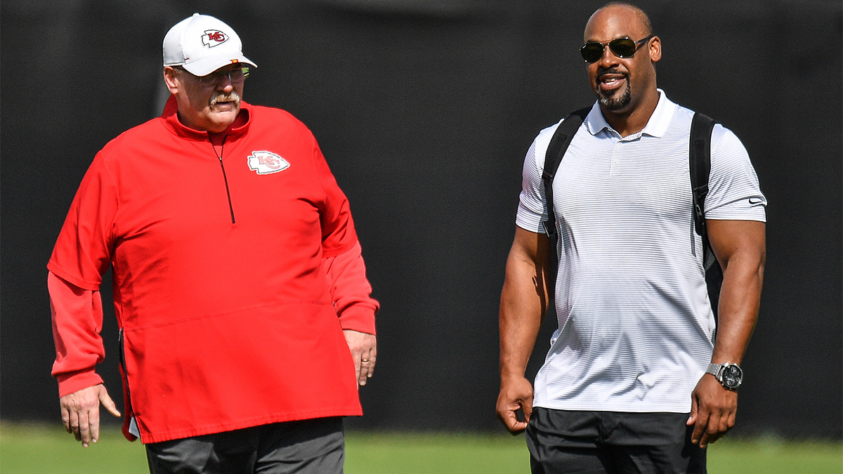 WTF! EX-EAGLE MCNABB SHOULD BE IN HOF, EX-BIRDS COACH REID SAYS