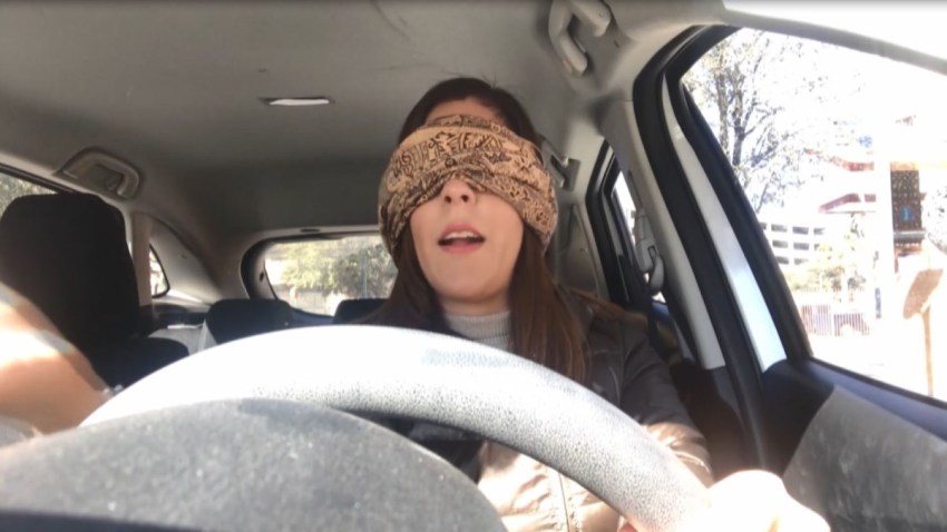 Bird Box Challenge