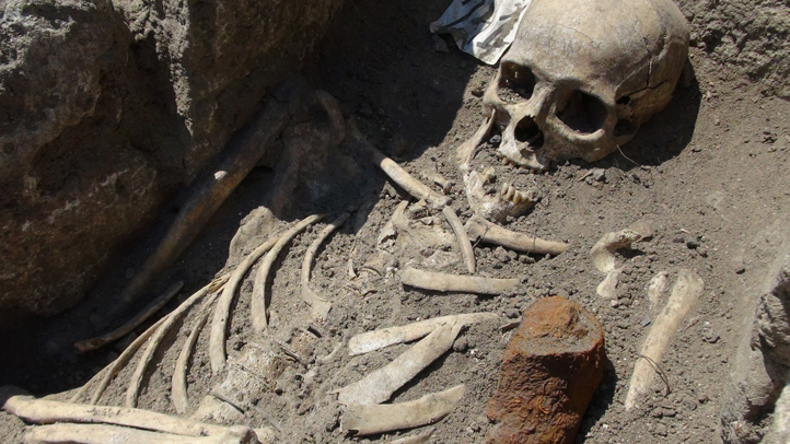 Bulgarian_Skeleton