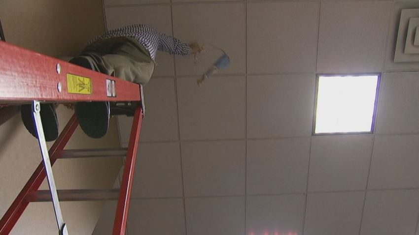 Bungee jumping near me picture