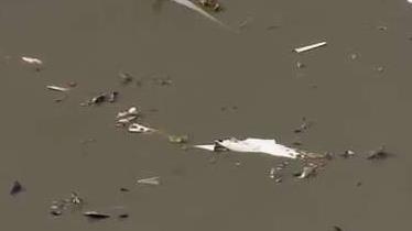Cargo_Plane_From_Miami_Crashes_Near_Houston