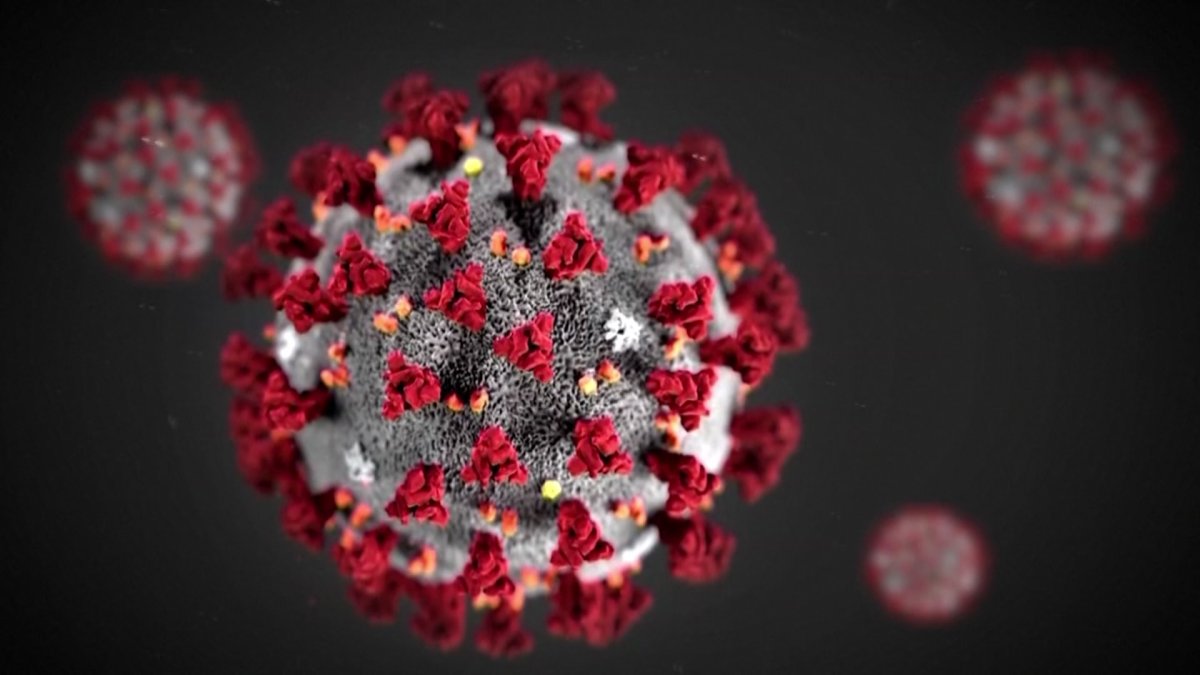 Virus Variant From South Africa Detected in US for 1st Time NBC10