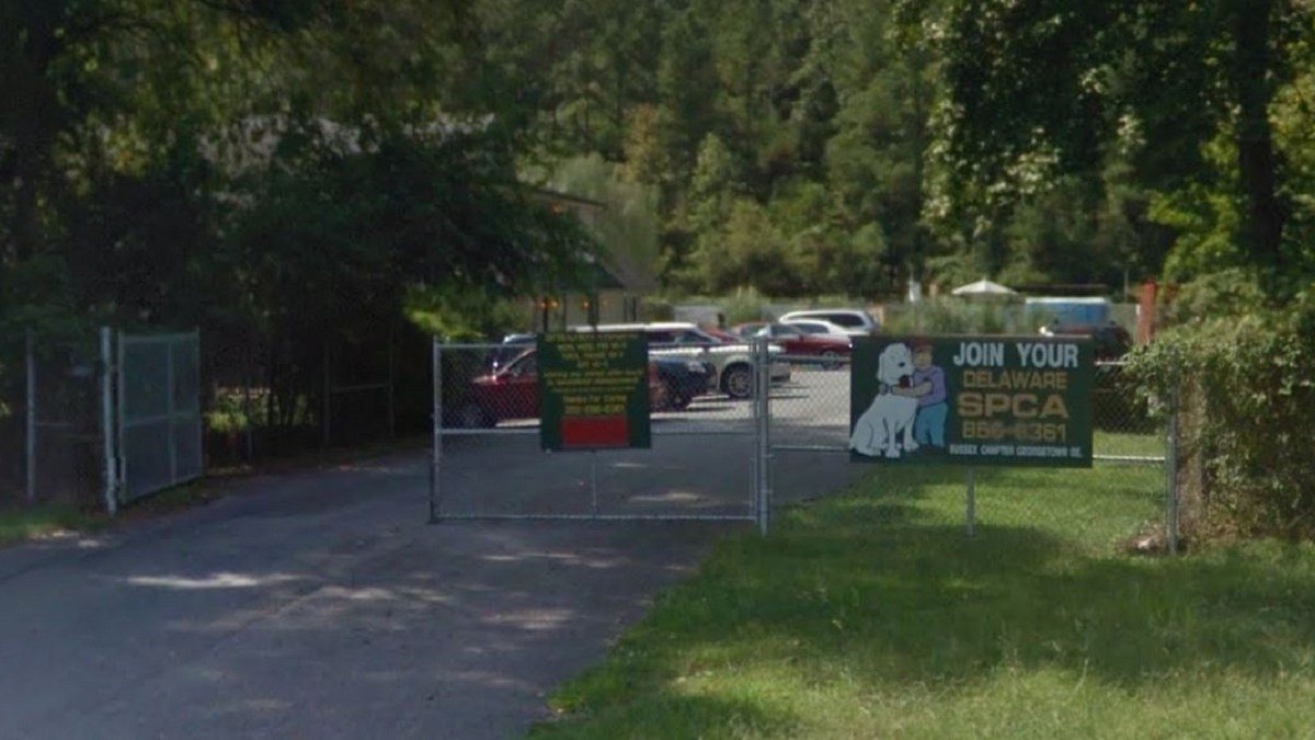 Delaware SPCA Sells Animal Shelter, Reopens Another NBC10 Philadelphia