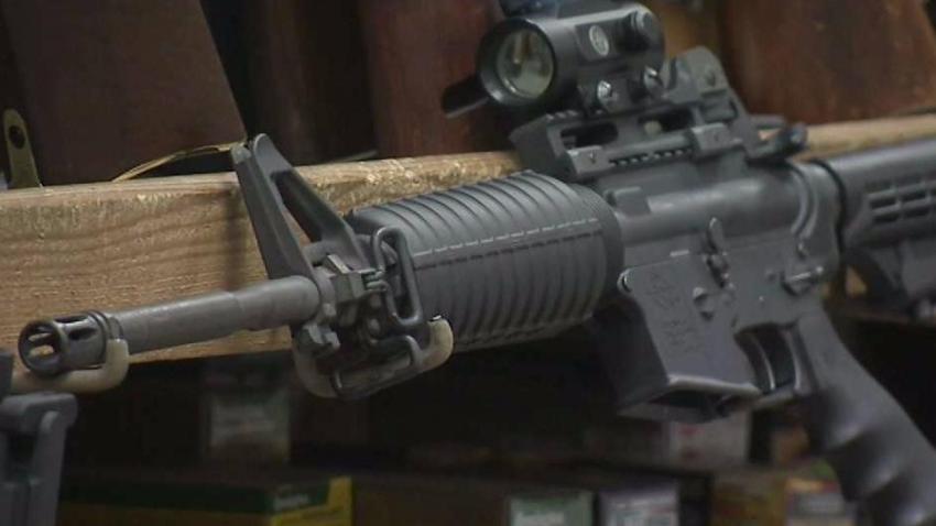 Delaware_Governor_Seeks_to_Ban_Assault-Style_Rifles
