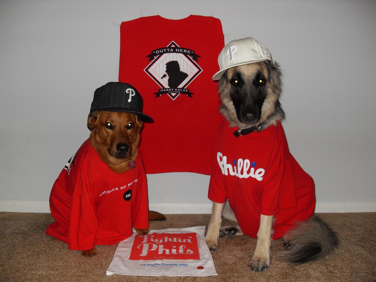 phillies dog jersey