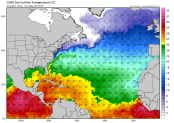 Early Tropical Storm Glenn 2