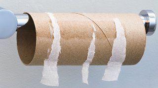 Empty toilet paper roll