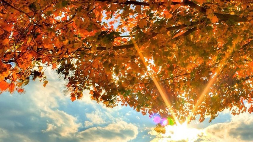 Fall-Foliage-Philadelphia-Area