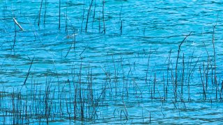 File image of water
