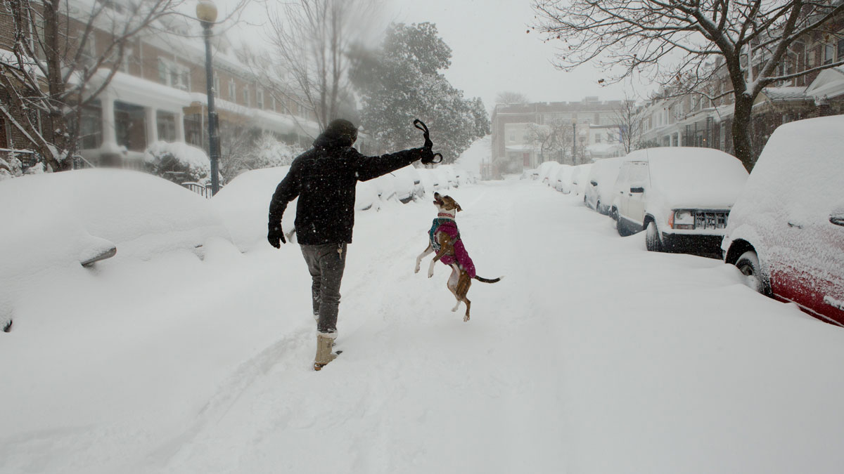 Blizzard Pushes Snow, Wind Through East Coast NBC10 Philadelphia