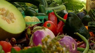 Healthy-Food-01006