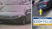 Hit-and-run-5-year-old-License-plate